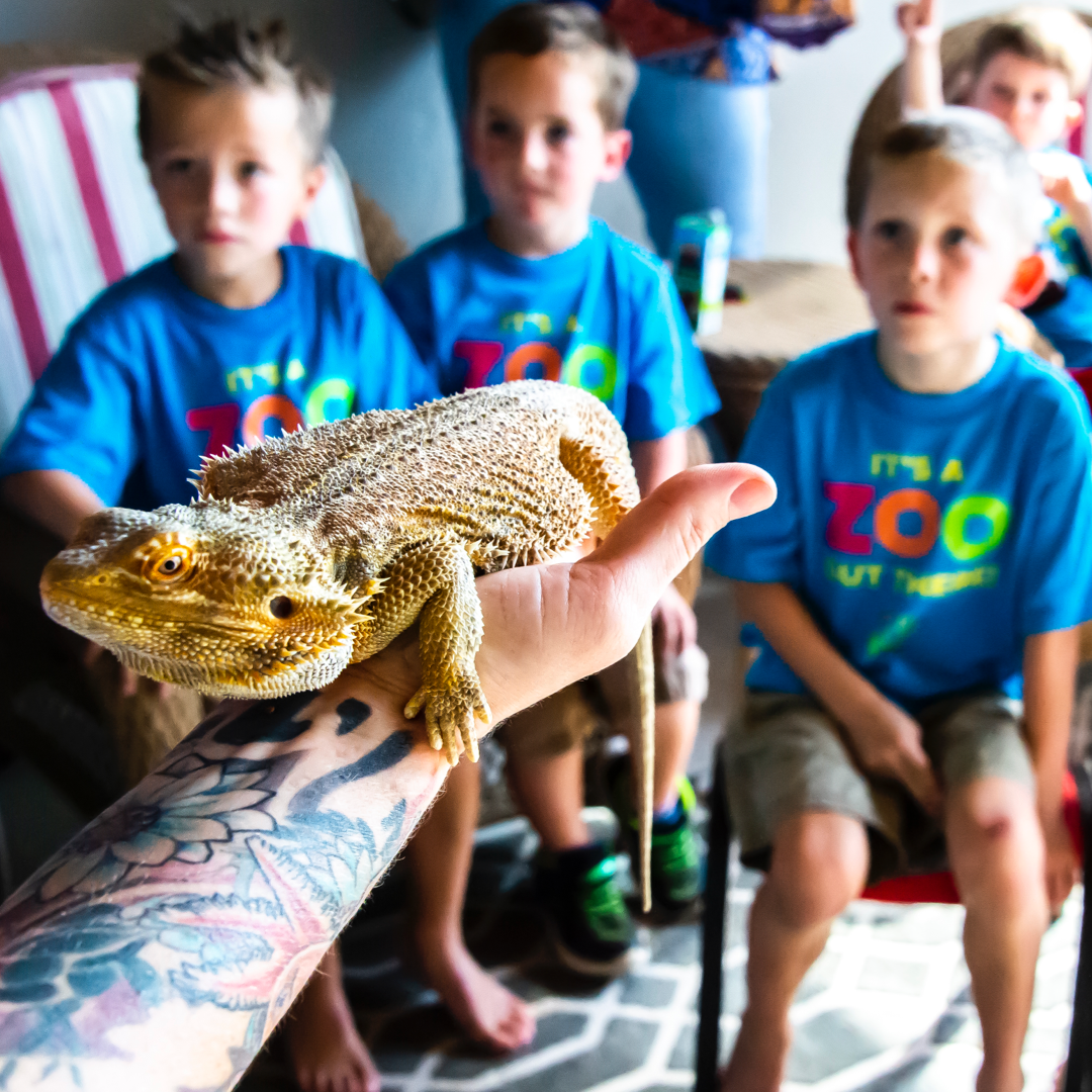 Here is an image showing kids and an animal from a previous event.